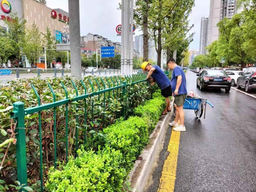 四川省-达州市-草坪护栏